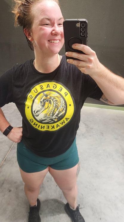 Pegasus Awakening Shockwave Unisex t-shirt