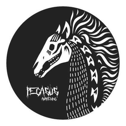 Pegasus Awakening White Pony