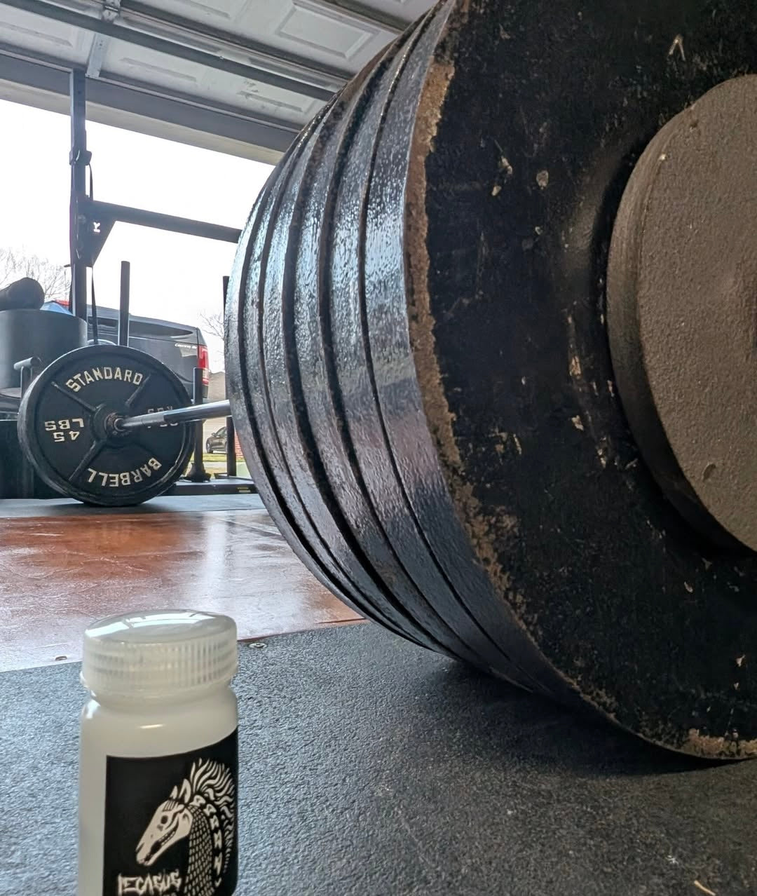 Pegasus Awakening White Pony